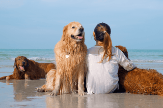 Pawsitively Perfect: Celebrating Pets this Valentine’s Day with Lulle - Lulle