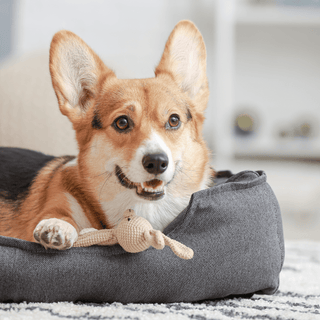 Pet Beds - Lulle