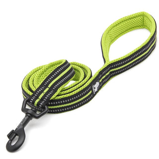 True Love Reflective Pet Leash 2m - Yellow, M-1831155645060091905