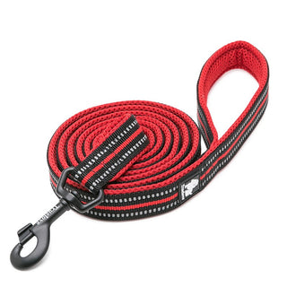 True Love Reflective Pet Leash 2m - Red, XS-1831155648755273729