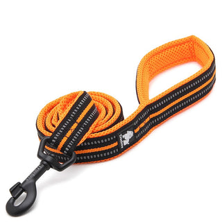 True Love Reflective Pet Leash 2m - Orange, M-1831155644573552641