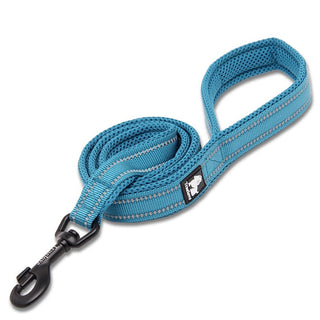 True Love Reflective Pet Leash 2m - Blue, XS-1831155645290778625