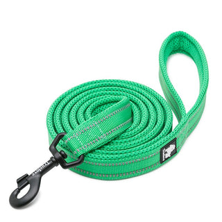 True Love Reflective Pet Leash 2m - Green, S-1831155647358570497