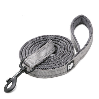 True Love Reflective Pet Leash 2m - Grey, M-1831155647002054657